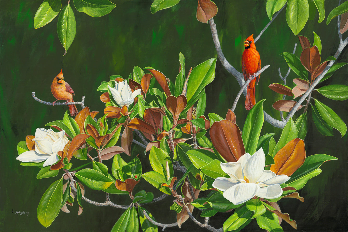 Cardinal Song