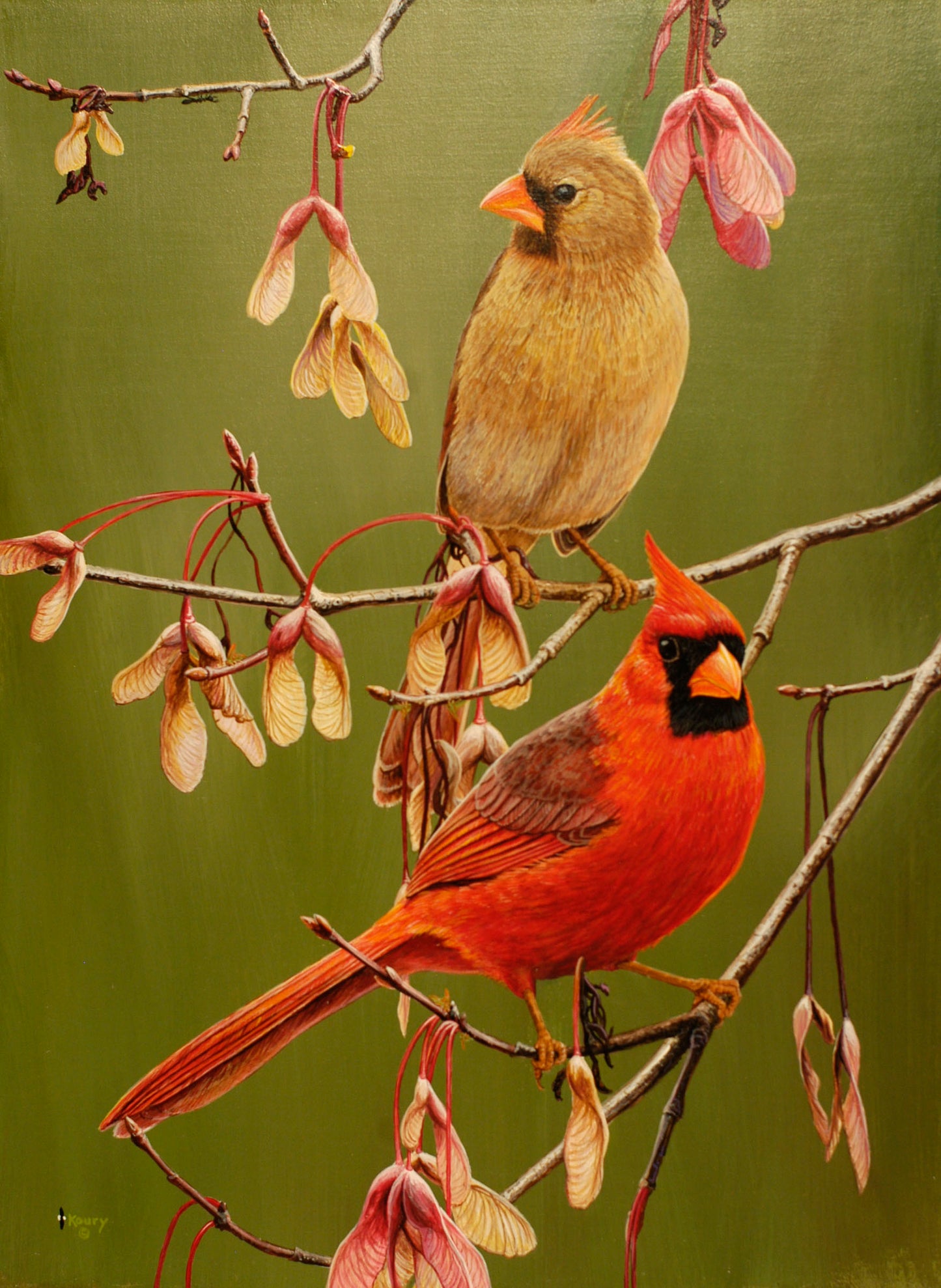Cardinals in Maple note cards 5 pack