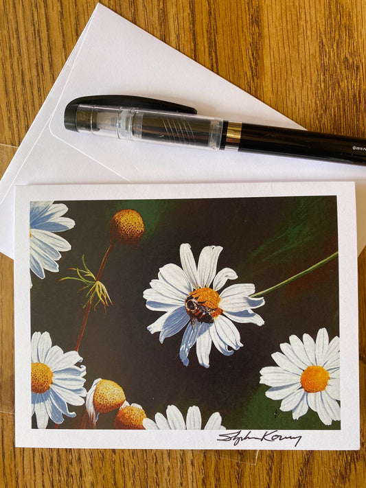 Daisy note cards 5 pack