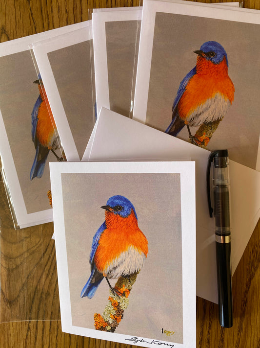 Eastern Bluebird note cards 5 pack