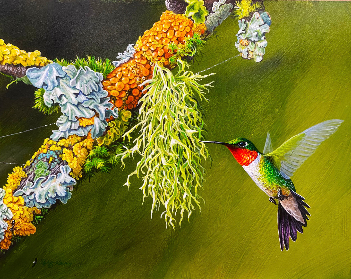 Hunting Spiders note cards 5 pack