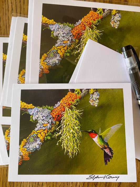 Hunting Spiders note cards 5 pack