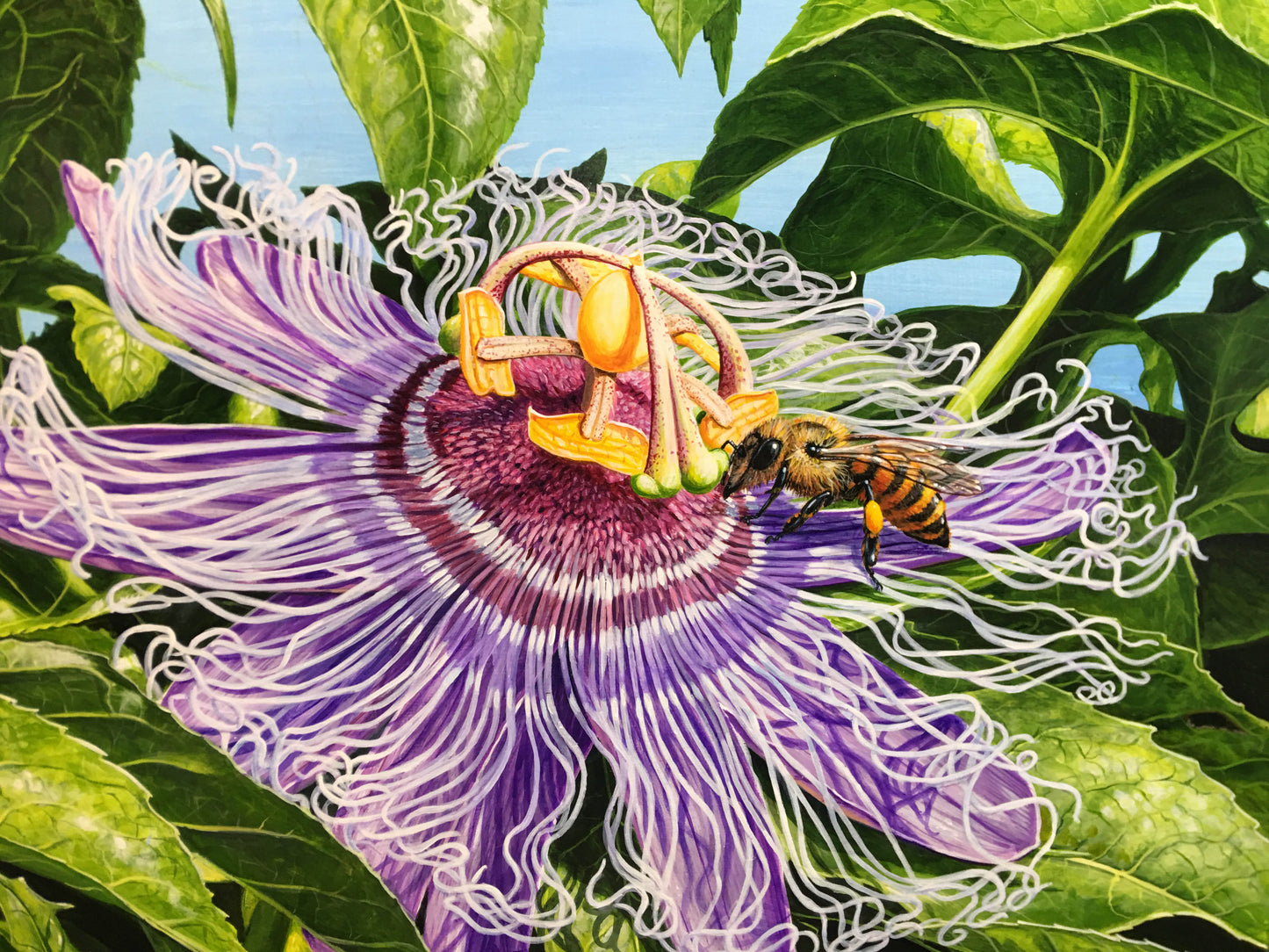 Passion flower note cards 5 pack
