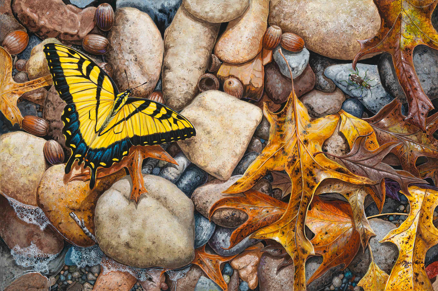 Puddling for Minerals note cards 5 pack