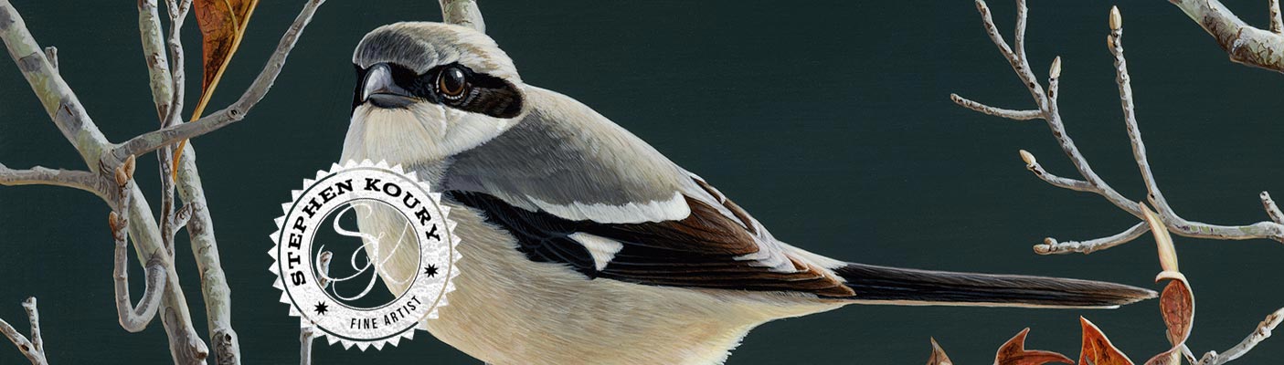 The Shrike by Stephen Koury