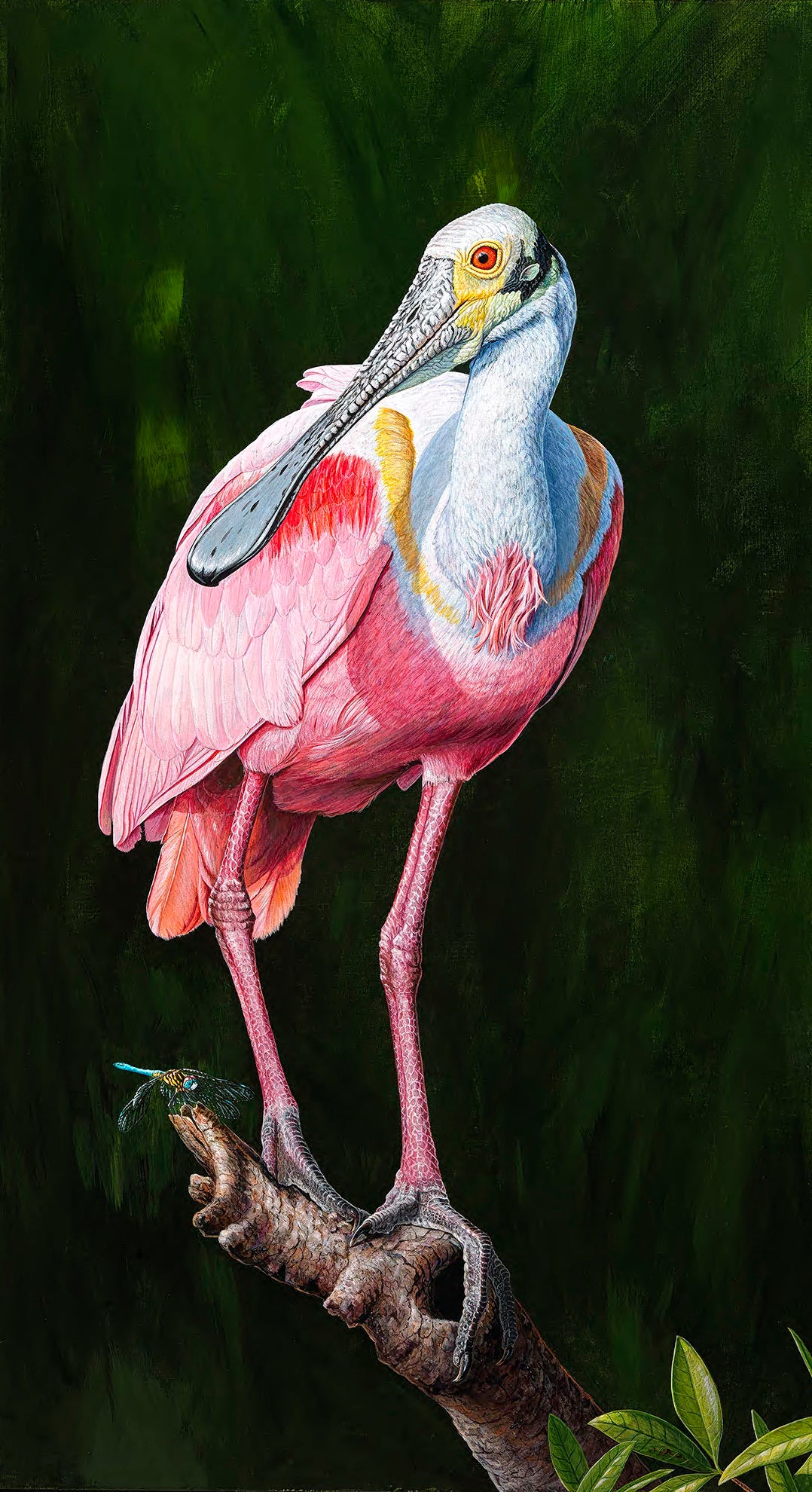 Stephen Koury Fine Art Gift Card