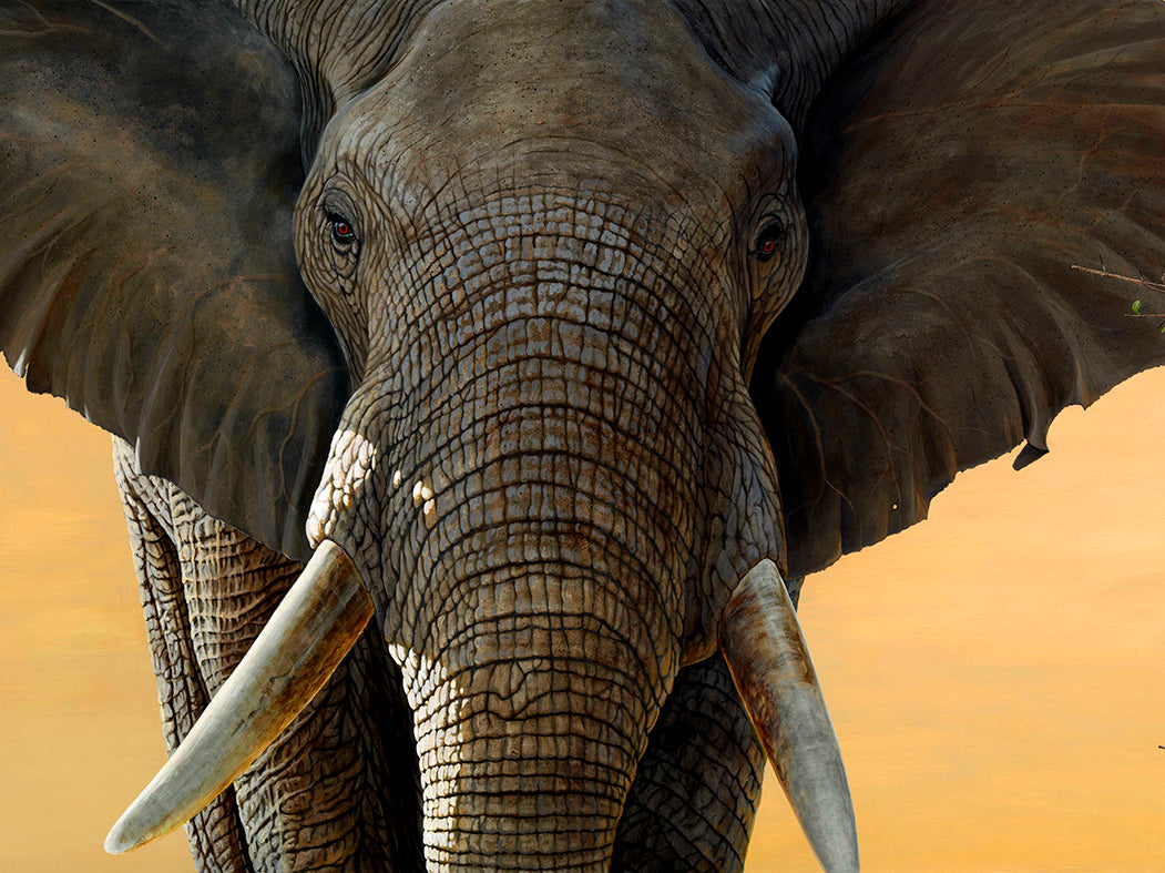 Wisdom note cards 5 pack