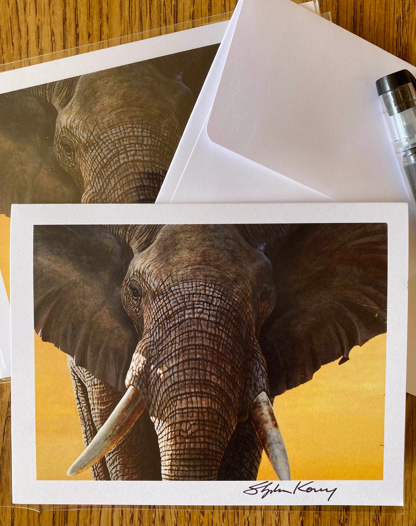 Wisdom note cards 5 pack