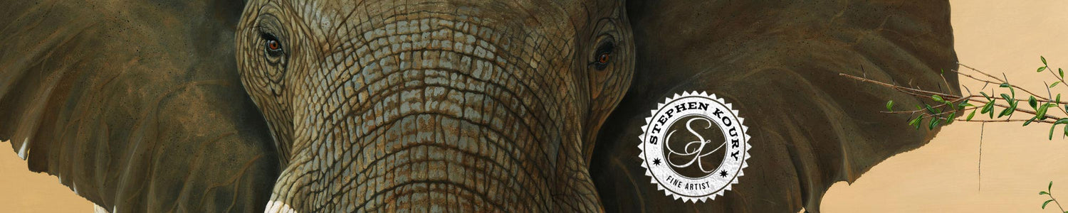 Wisdom by Stephen Koury