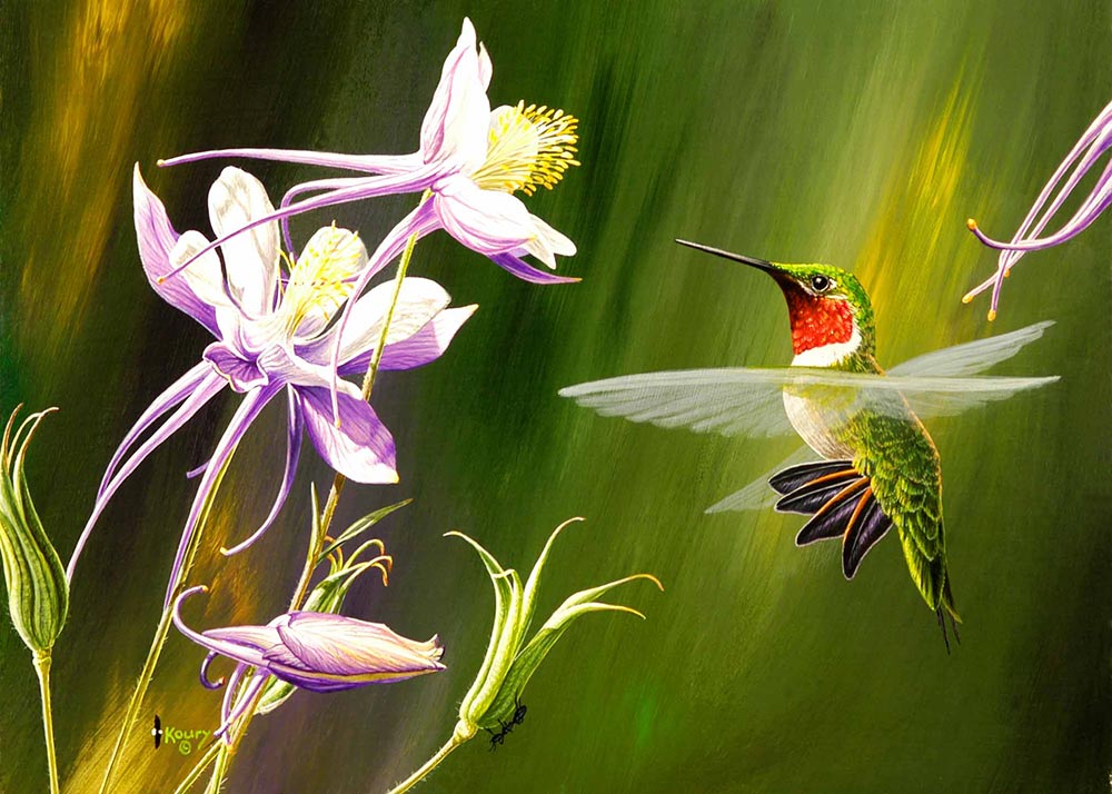 Broadtail At Columbine I