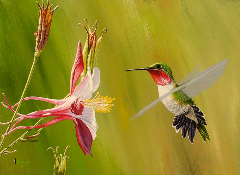 Broadtail At Columbine II
