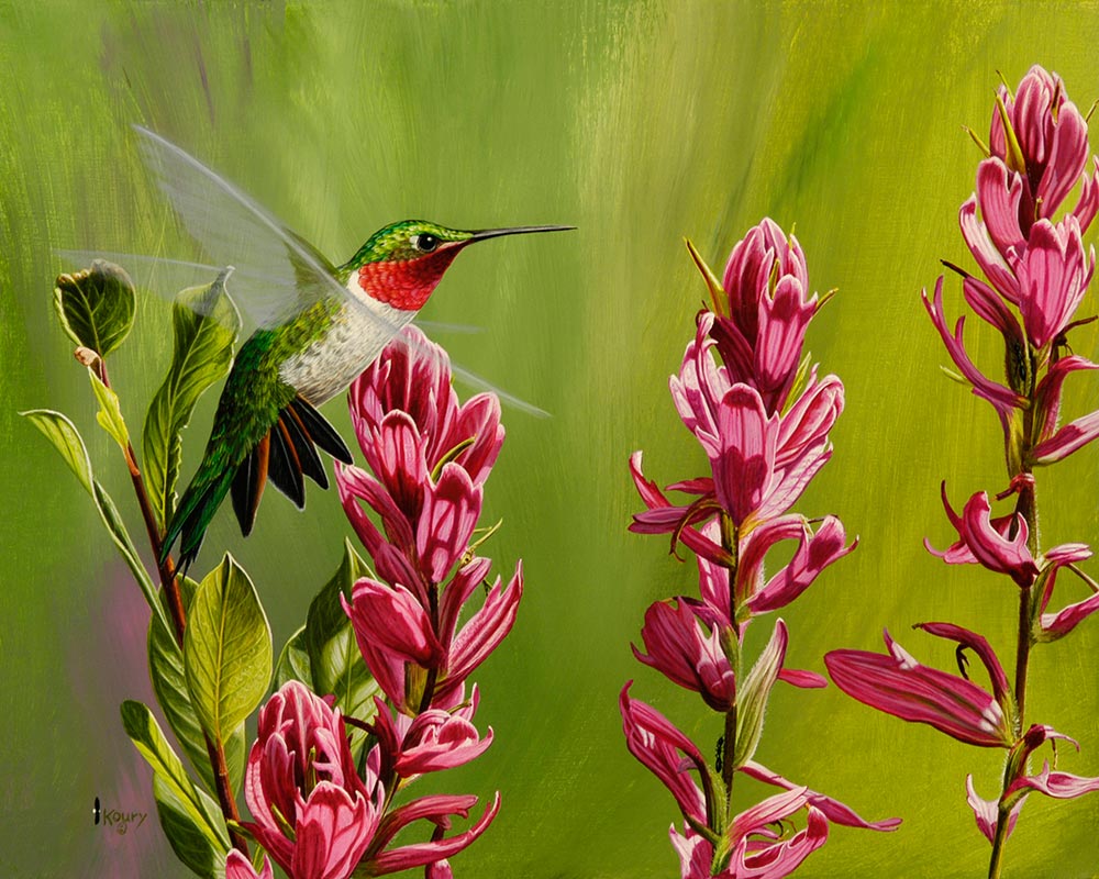 Broadtail At Paintbrush