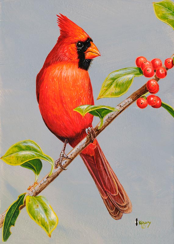 Cardinal