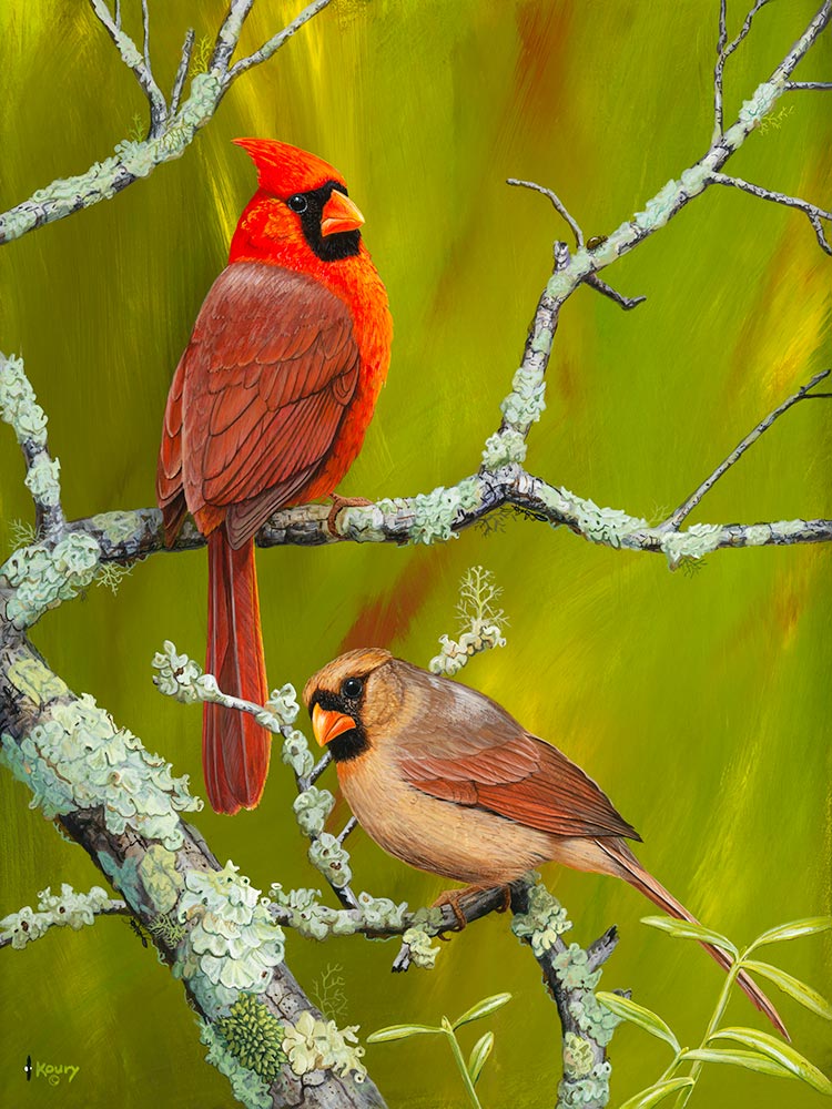 Cardinals