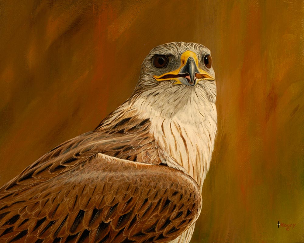 Ferruginous