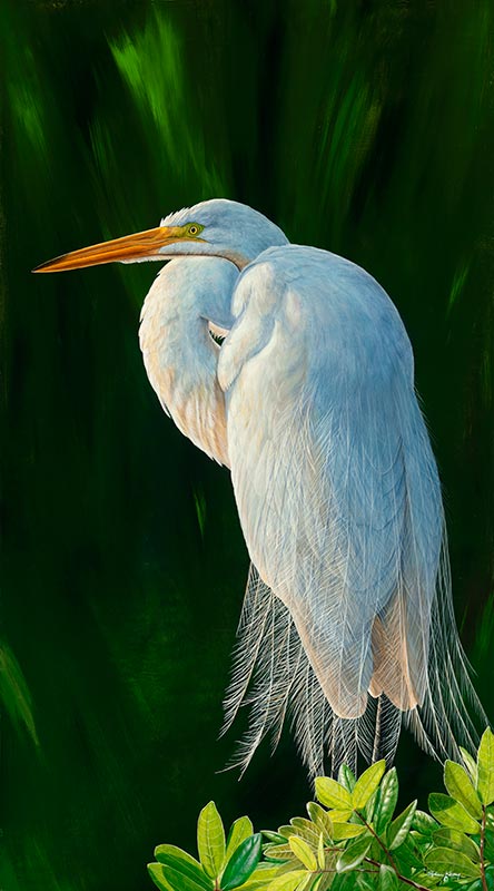 Great Light, Great Egret I