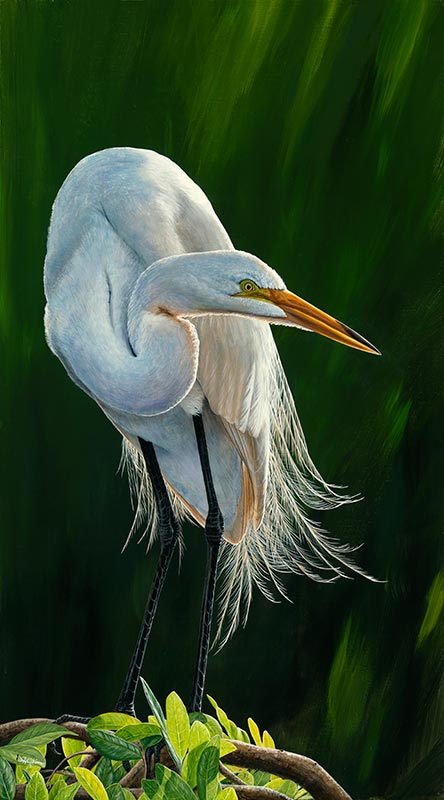 Great Light, Great Egret II