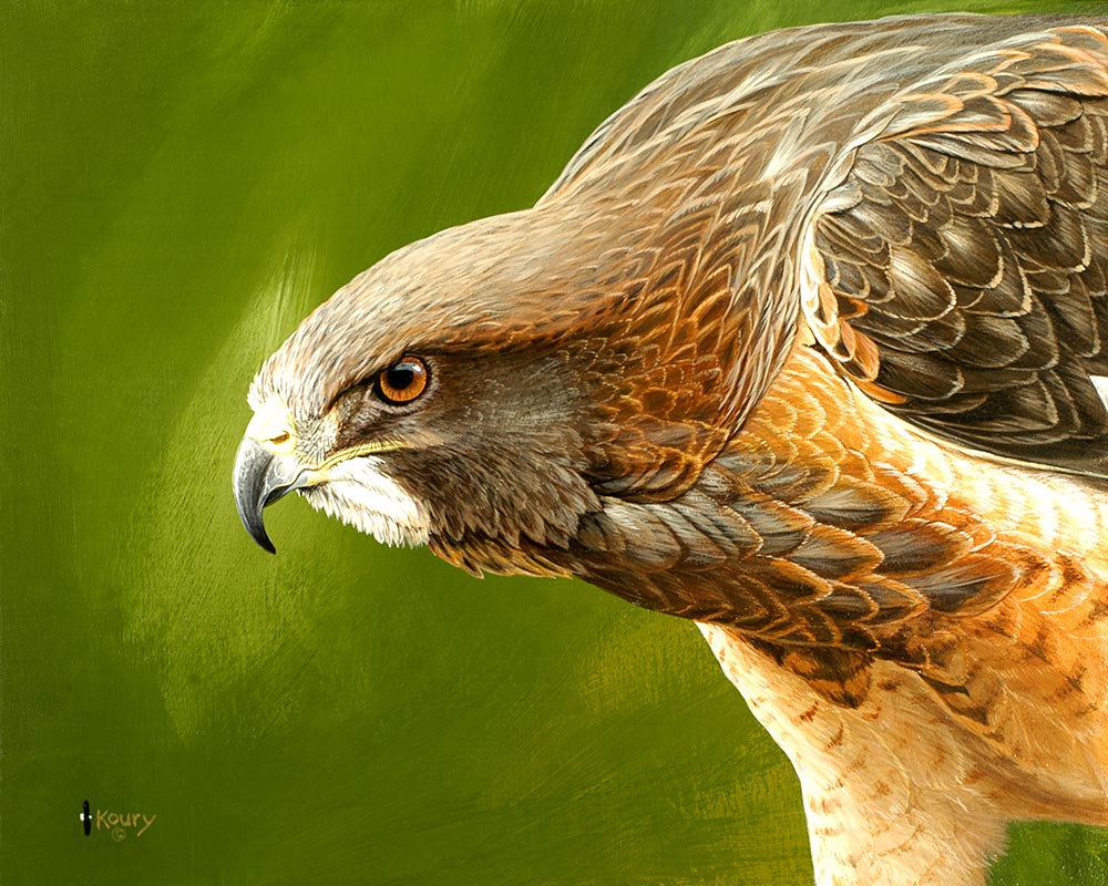 Intensity