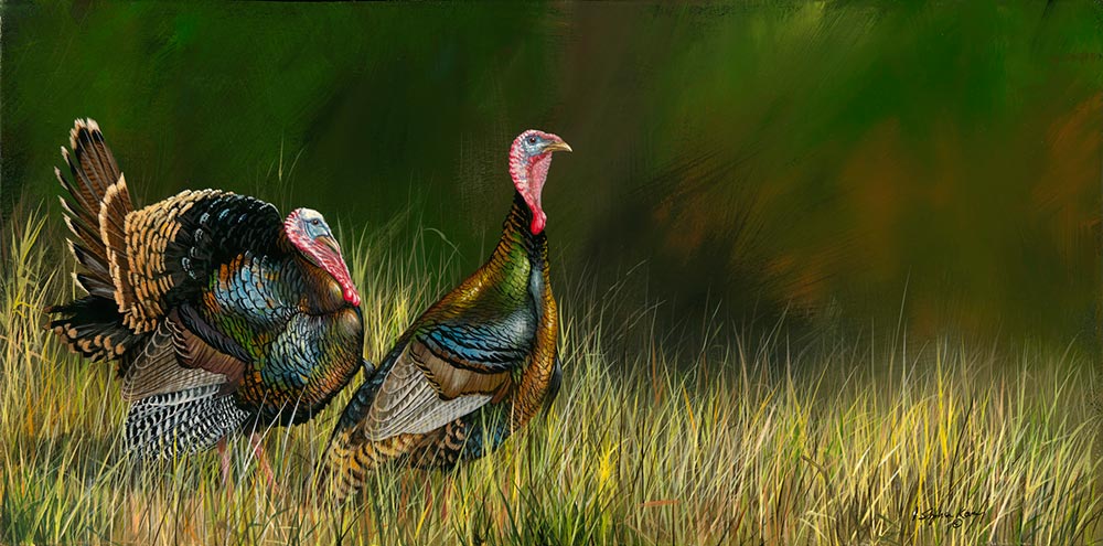 Into The Light, Turkeys