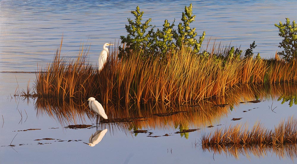 Morning Reflection II