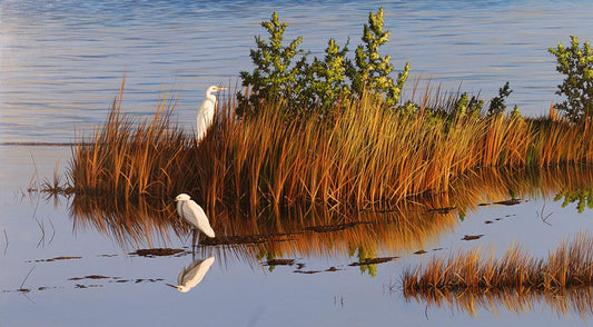 Morning Reflection II