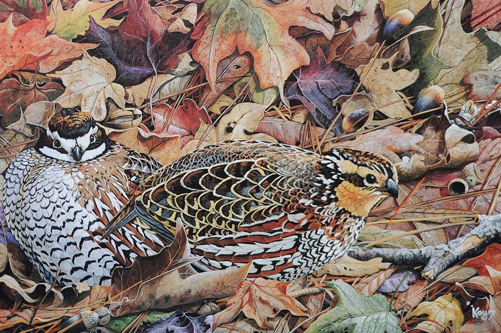Quail Cover