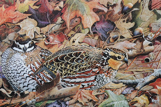Quail Cover