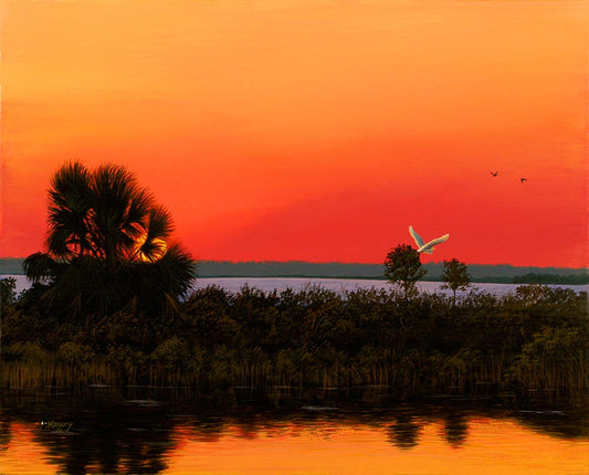 Sunset Colors