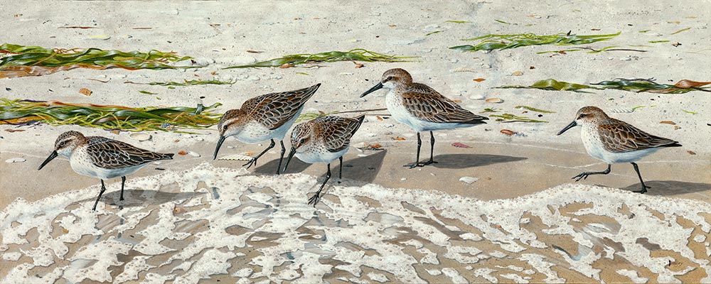 Working the Bubbleline