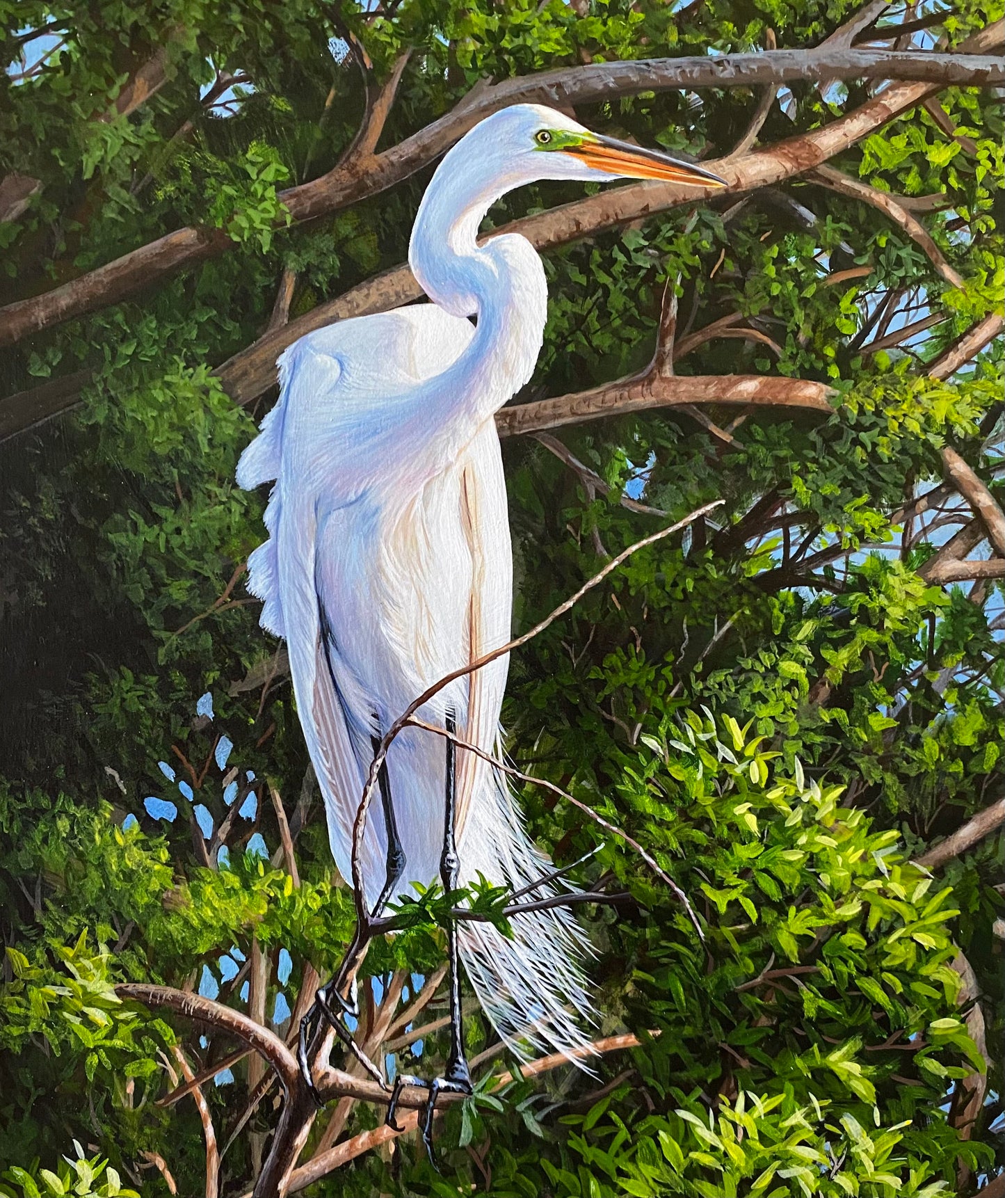 Great Egret note cards 5 pack