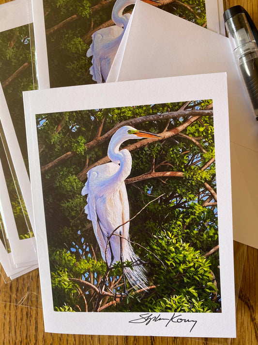 Great Egret note cards 5 pack
