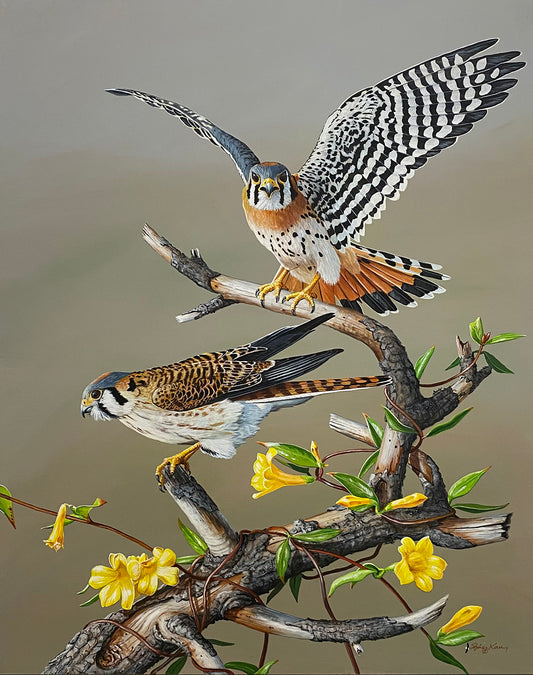 Kestrels and Jessamine