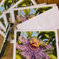 Passion flower note cards 5 pack