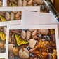 Puddling for Minerals note cards 5 pack
