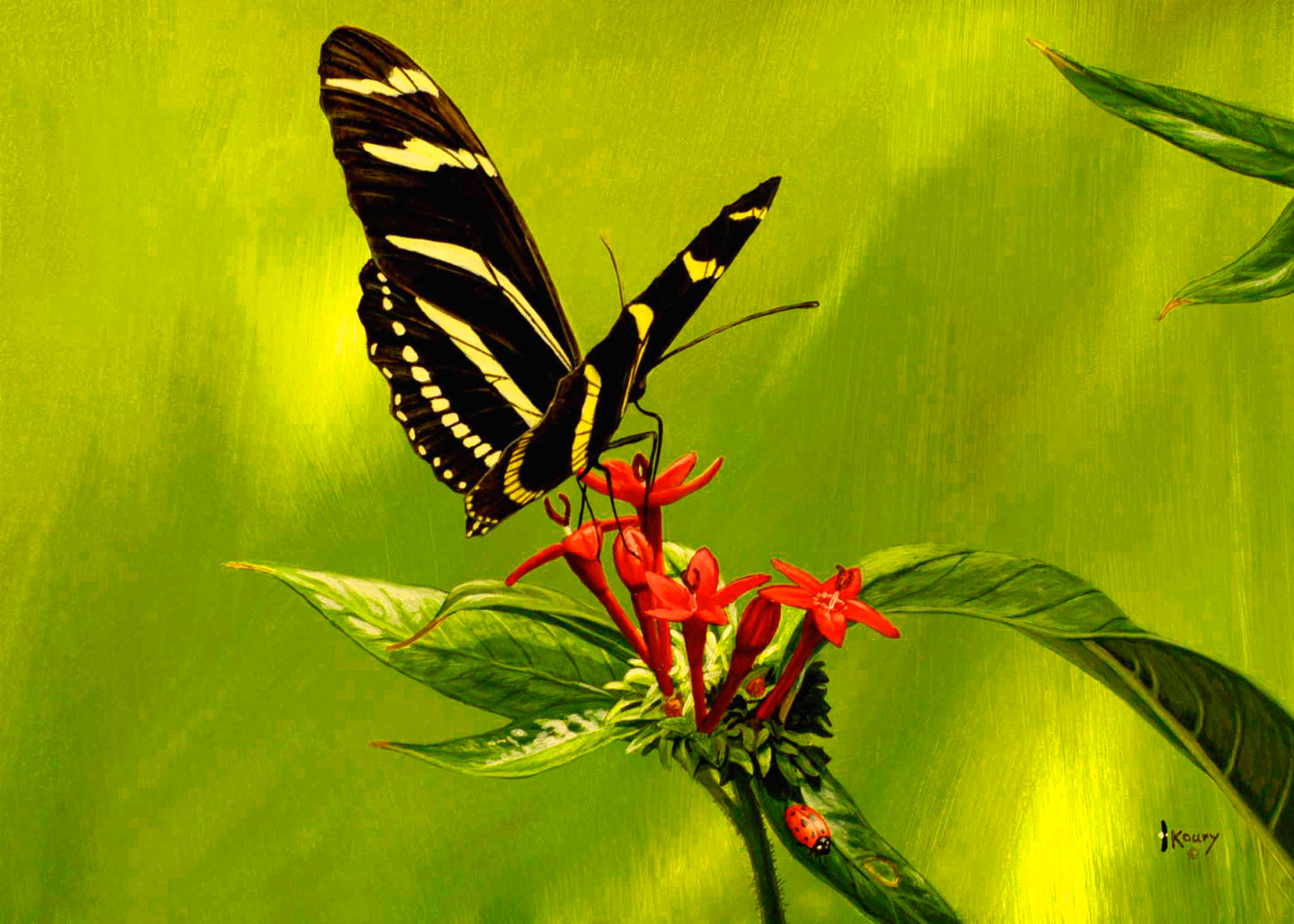 Zebra Longwing on Pentas